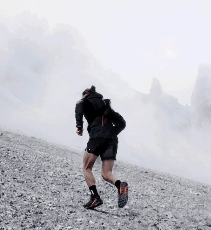 salomongenesis23.jpg