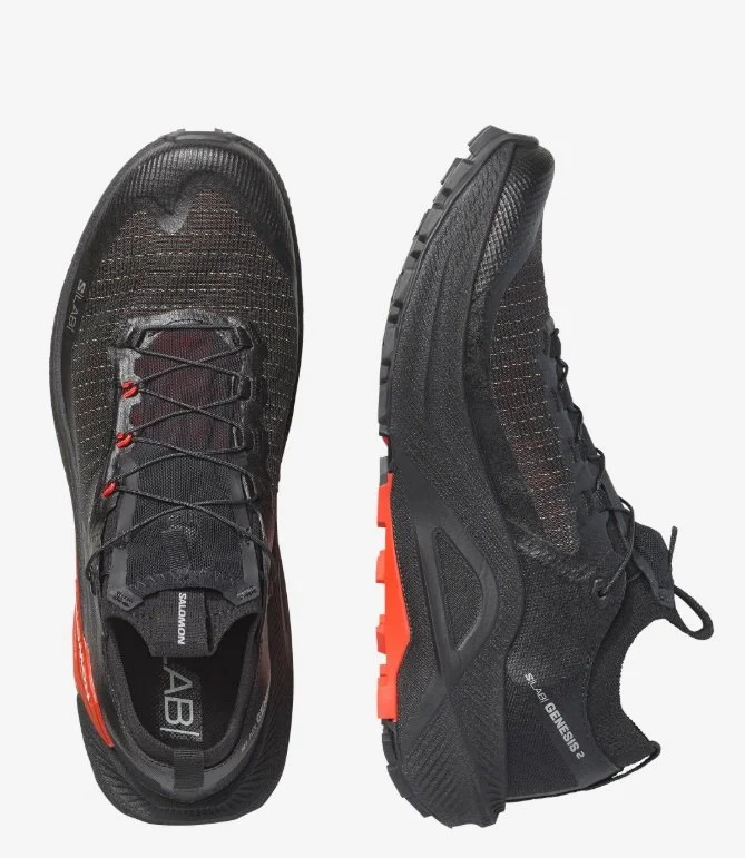 salomongenesis24.jpg