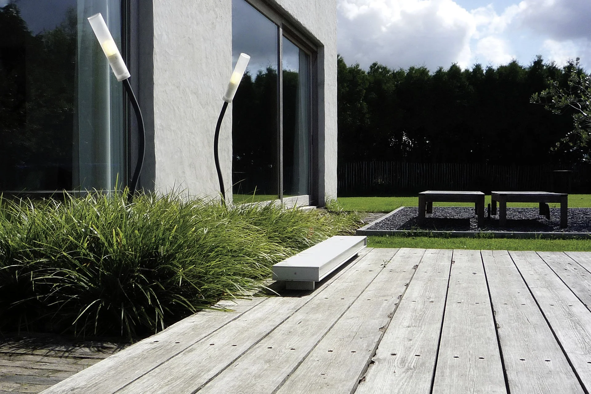 Studio Alain Monnens flower-projectfoto.jpg