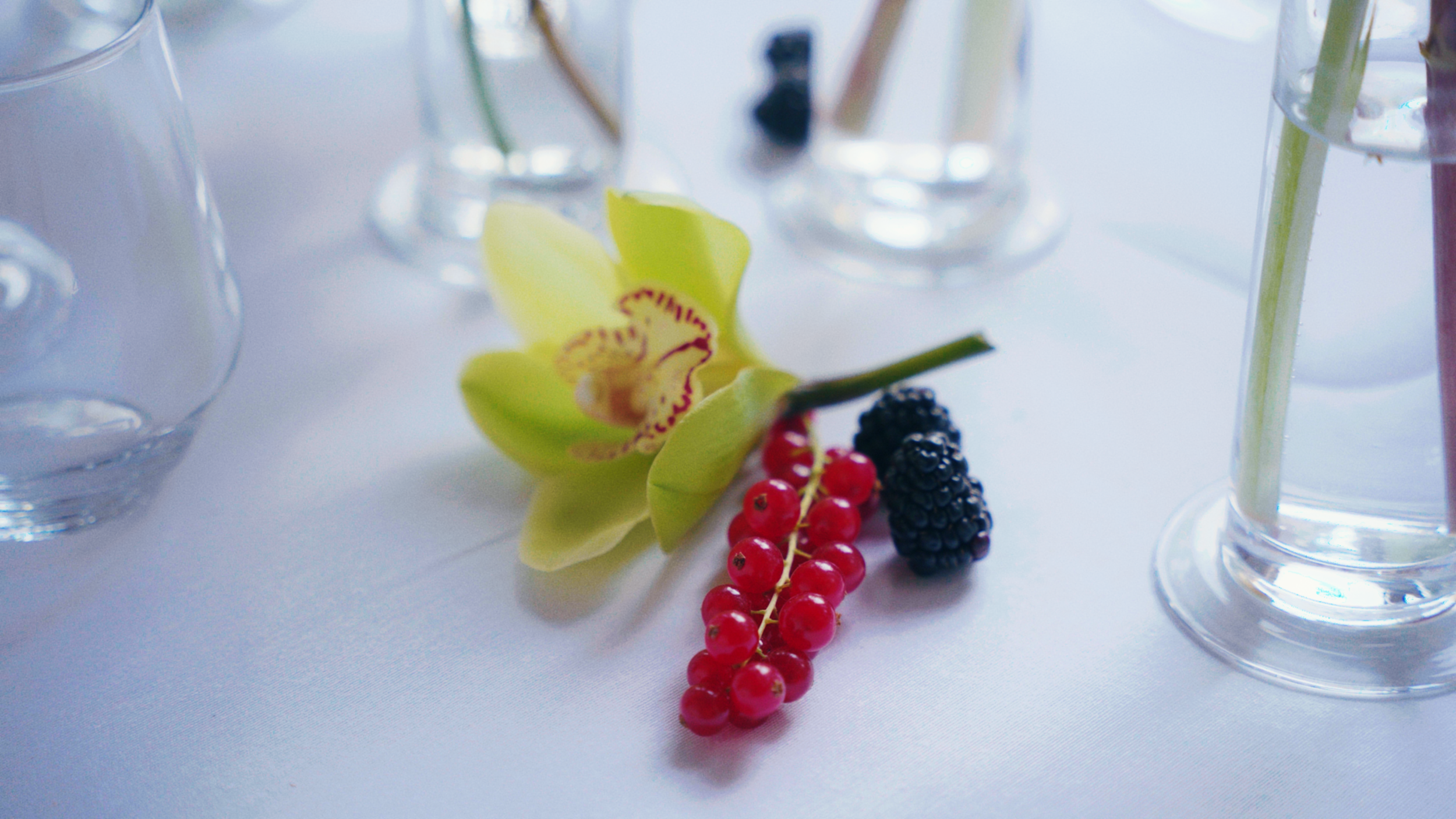 Screenshot 2026-01-16 at 15.33.50.png