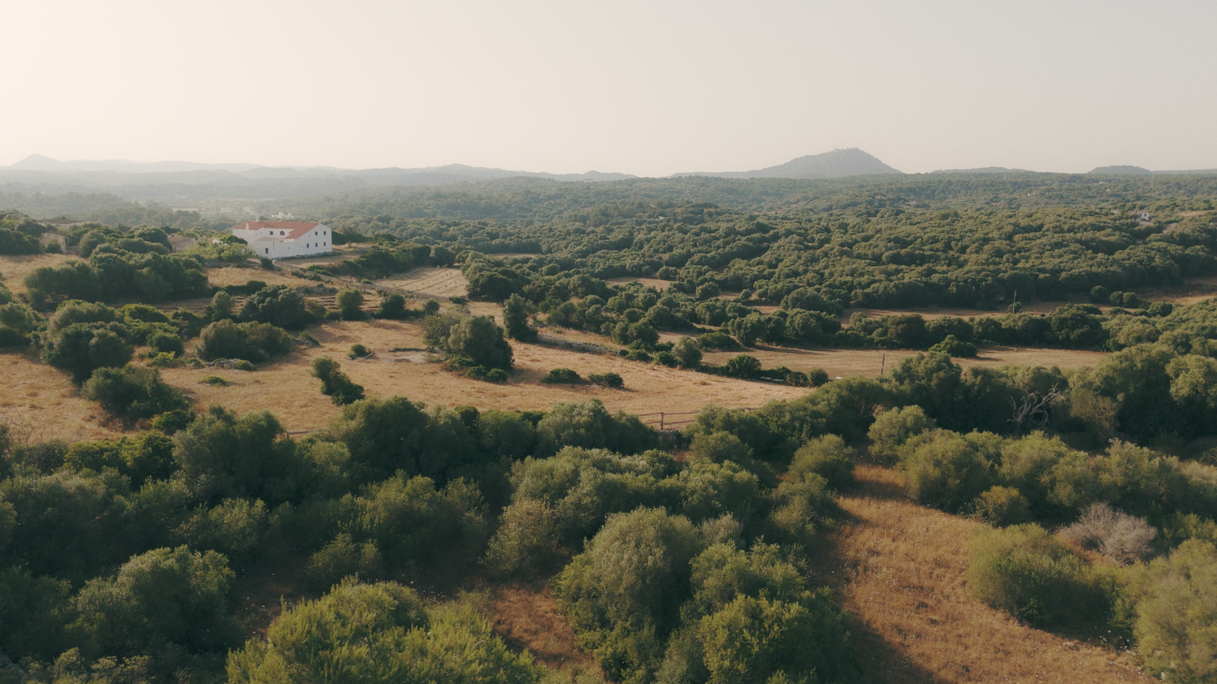 Screenshot 2026-01-26 at 16.52.55.png