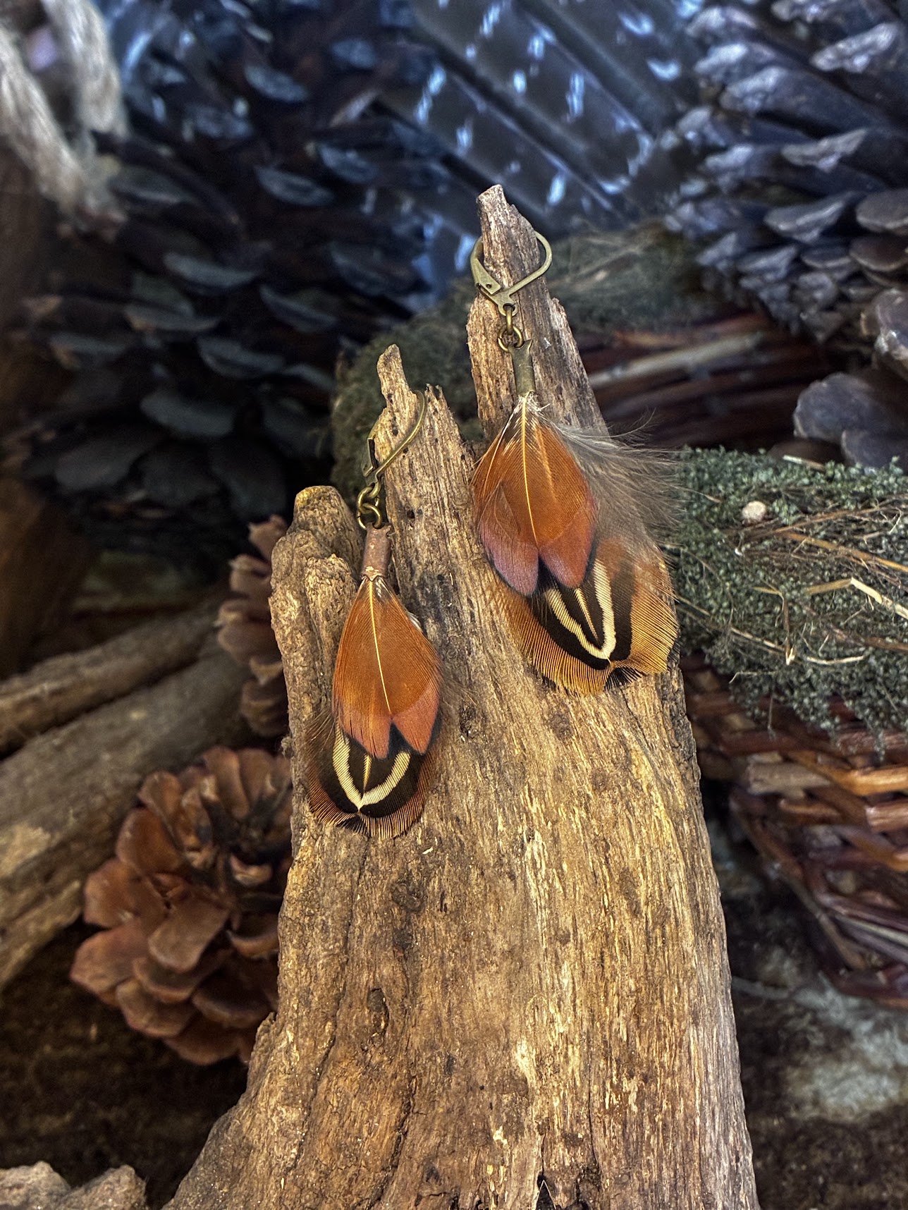 Ring-necked Pheasant Feather Earrings