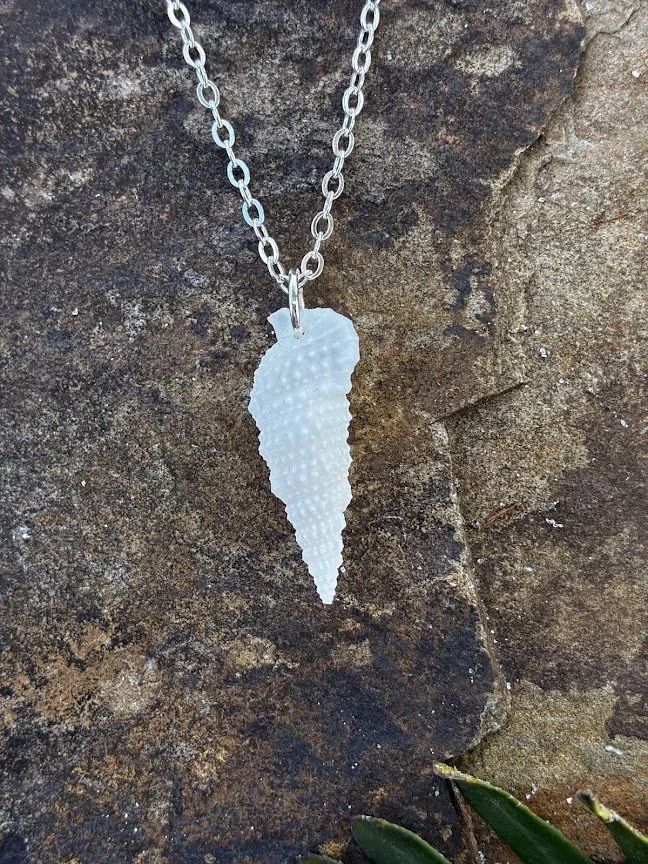 Florida Seashell Necklace