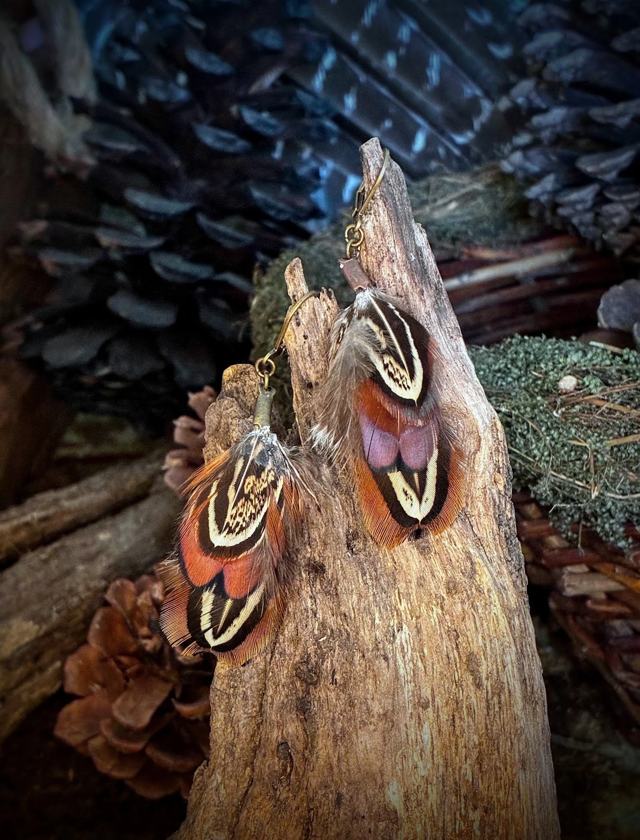 Ring-necked Pheasant Feather Earrings