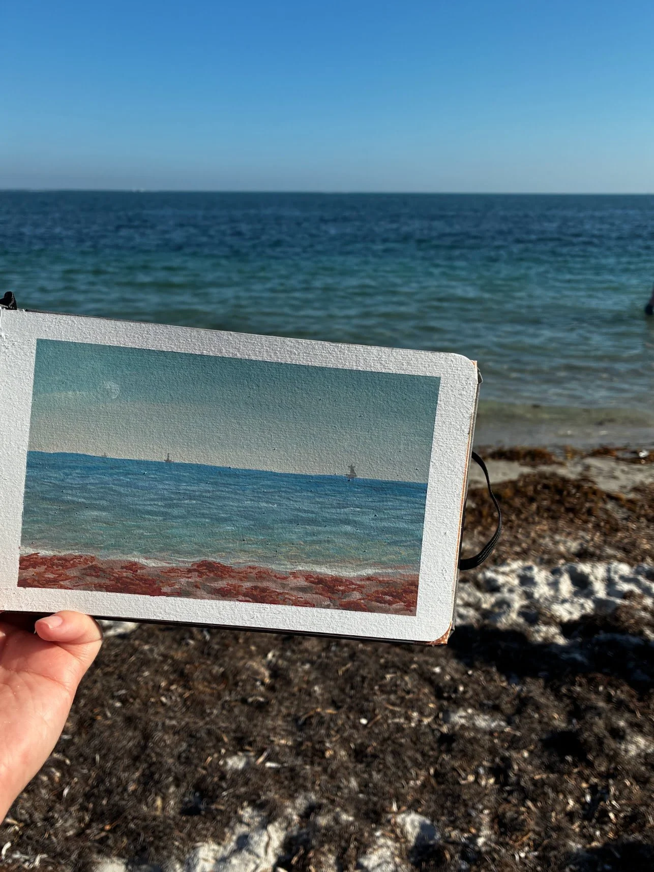 “Miami Christmas”