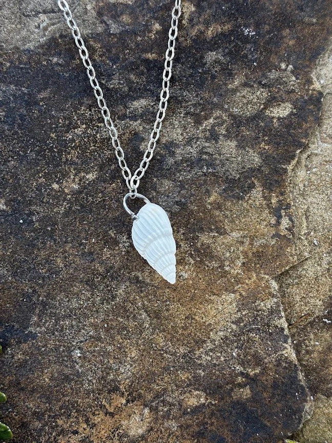 Florida Seashell Necklace