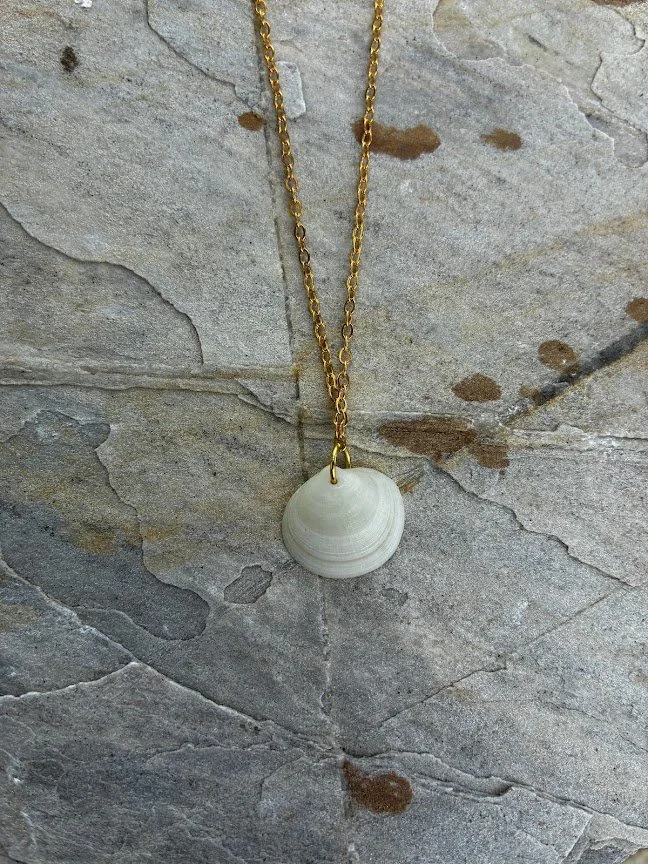 Florida Seashell Necklace