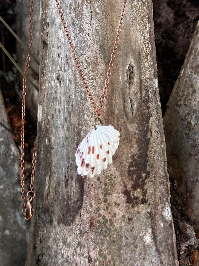 Florida Seashell Necklace