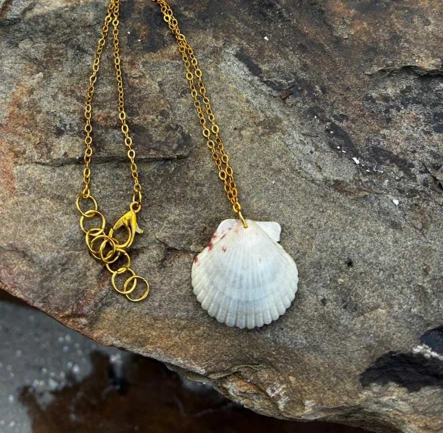 Florida Seashell Necklace
