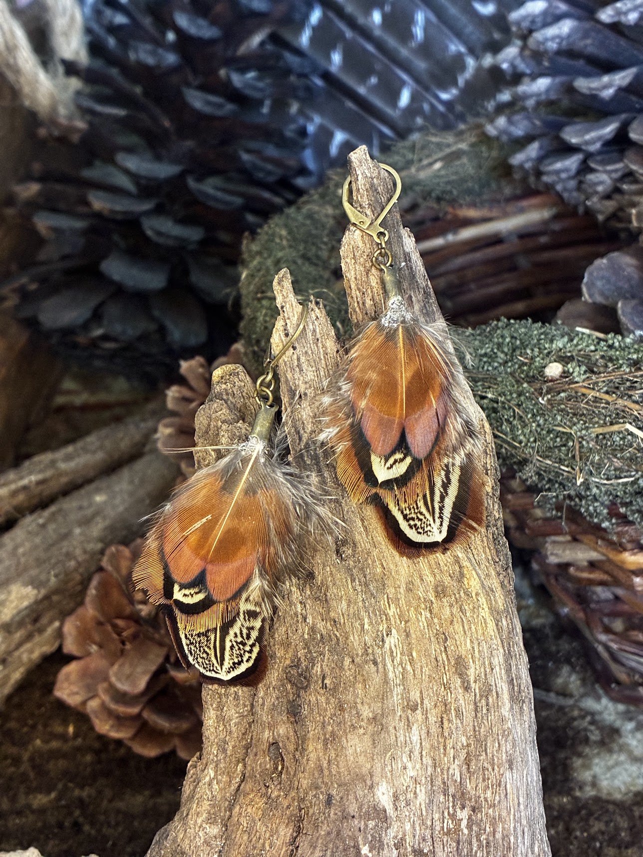Ring-necked Pheasant Feather Earrings