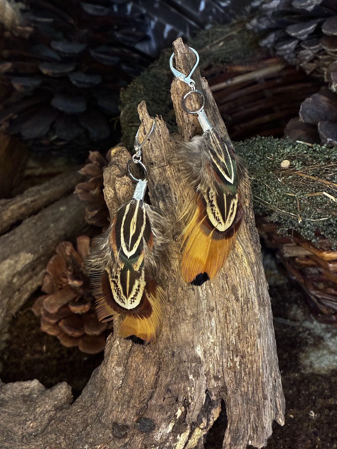 Ring-necked Pheasant Feather Earrings