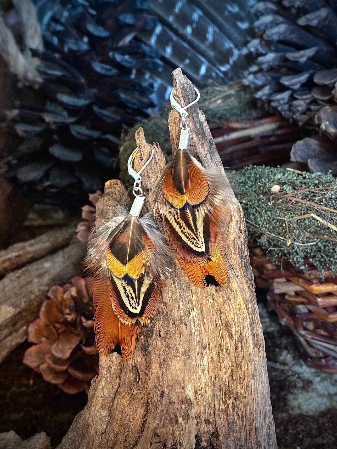 Ring-necked Pheasant Feather Earrings