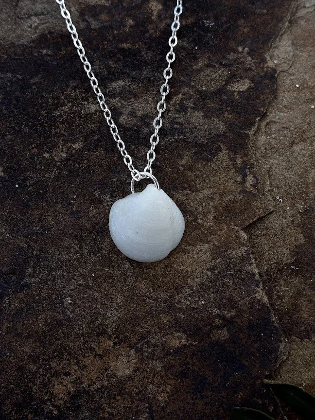 Florida Seashell Necklace