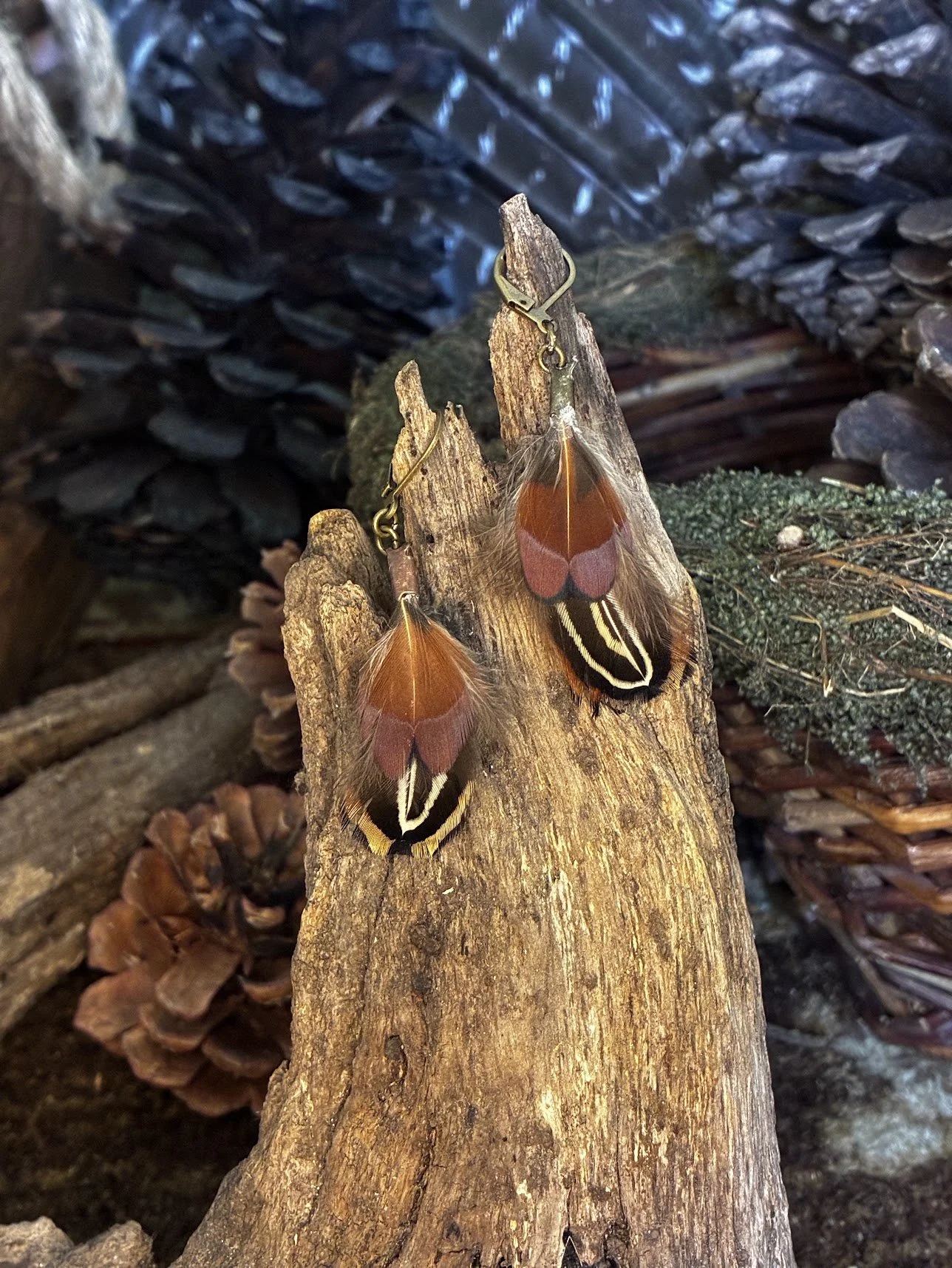 Ring-necked Pheasant Feather Earrings