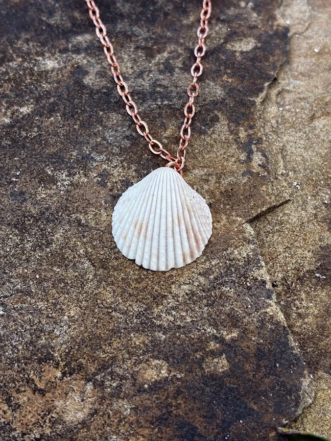 Florida Seashell Necklace
