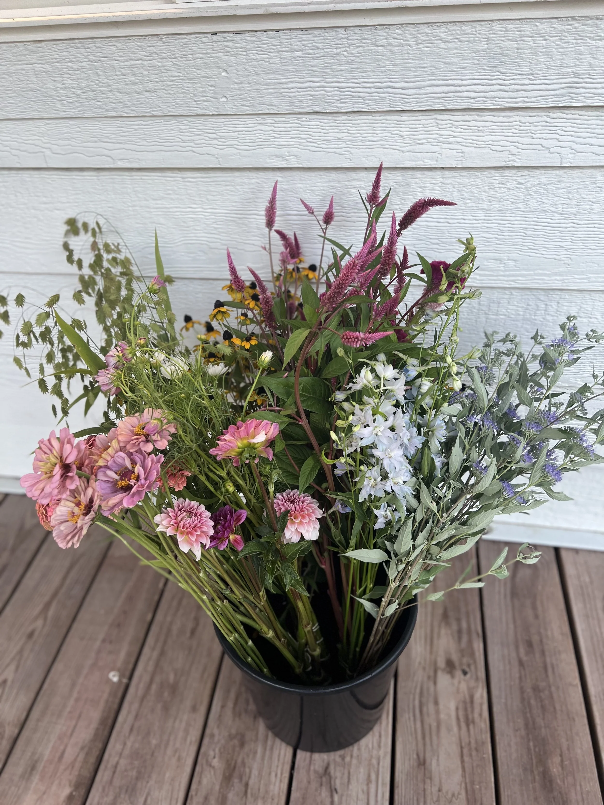 Weekly Fall Flower Bundle