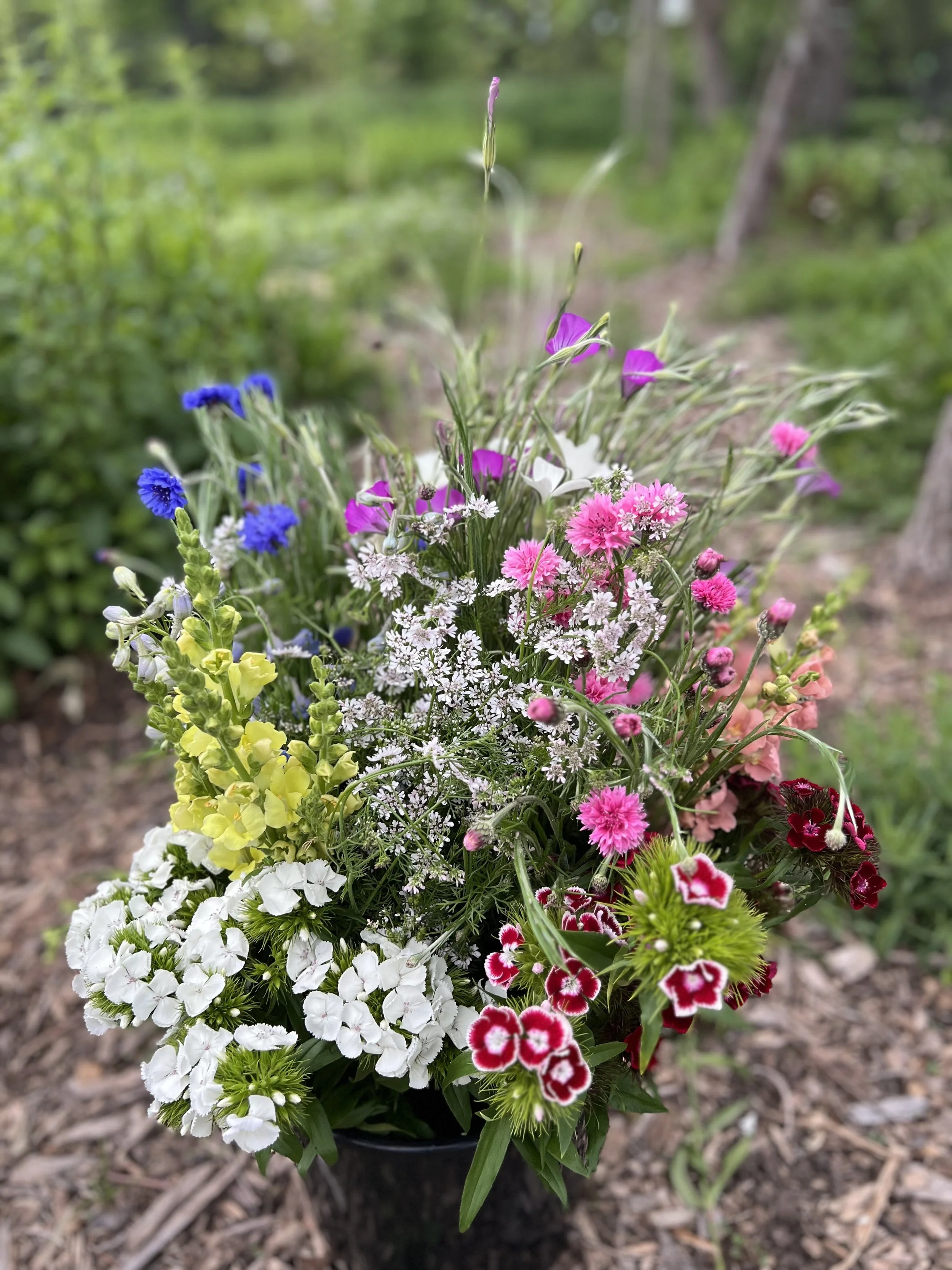 Weekly Spring Flower Bundle
