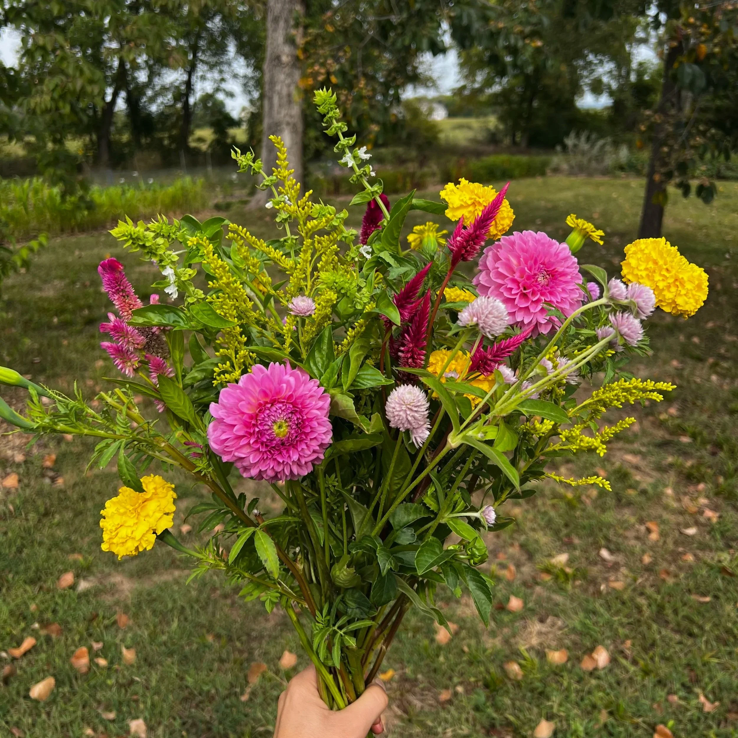 bright summer flowers