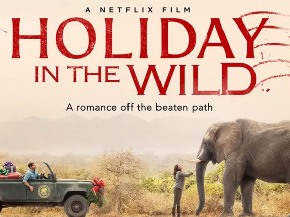 HOLIDAY IN WILD.jpg