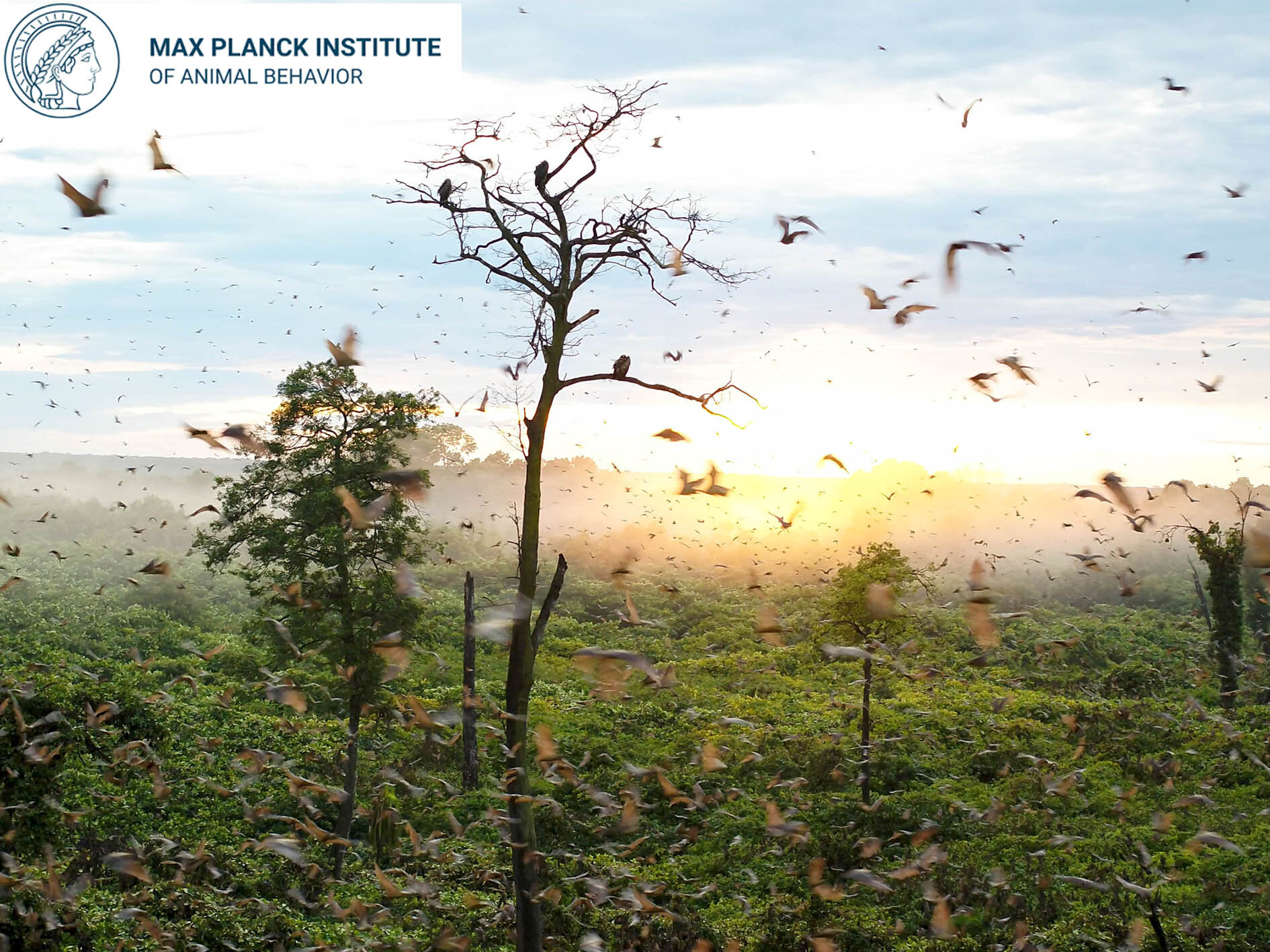 Max Plank Webpic.jpg