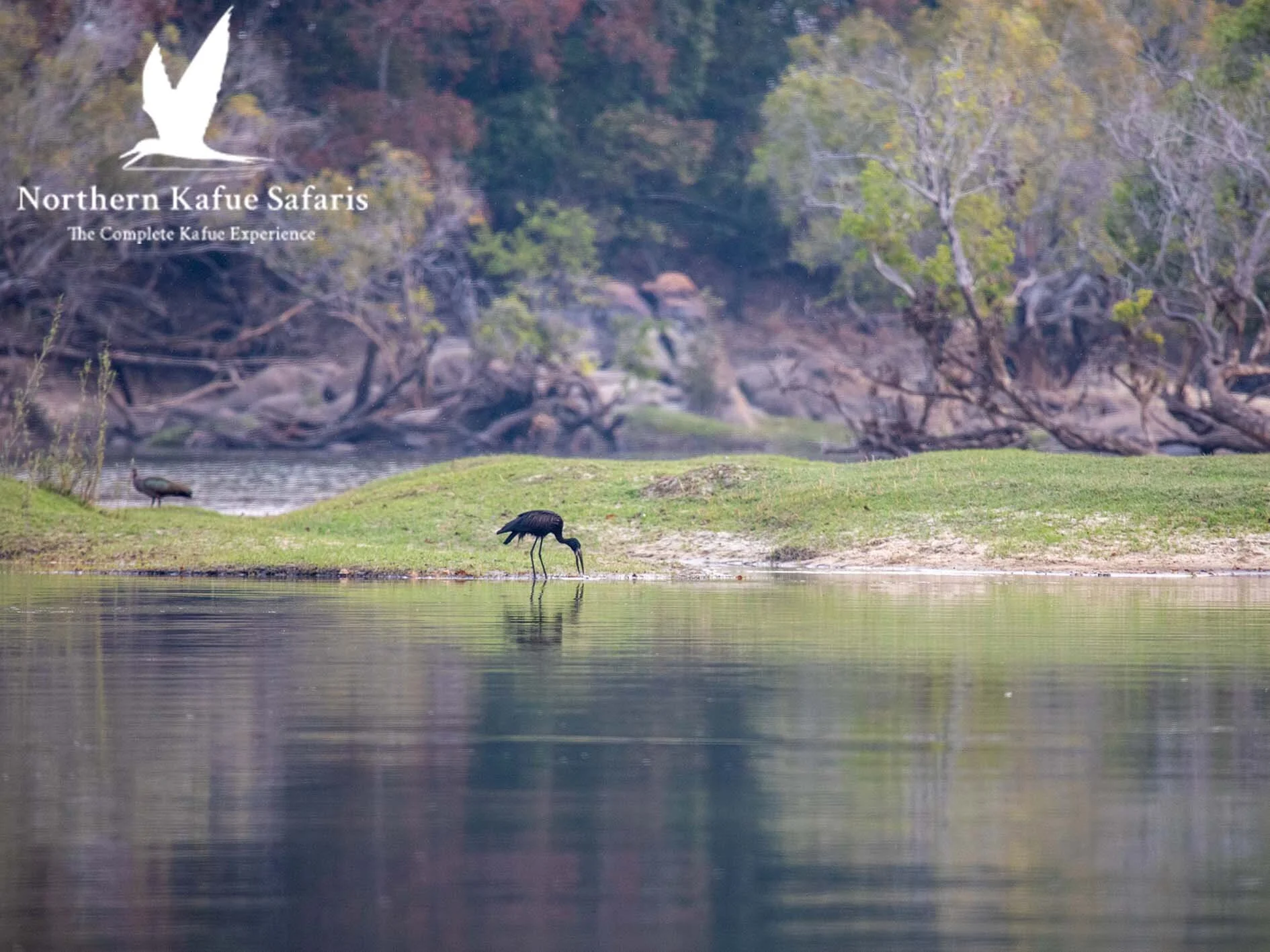 Northern Kafue Safaris