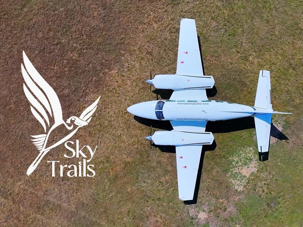 Sky Trails.jpg