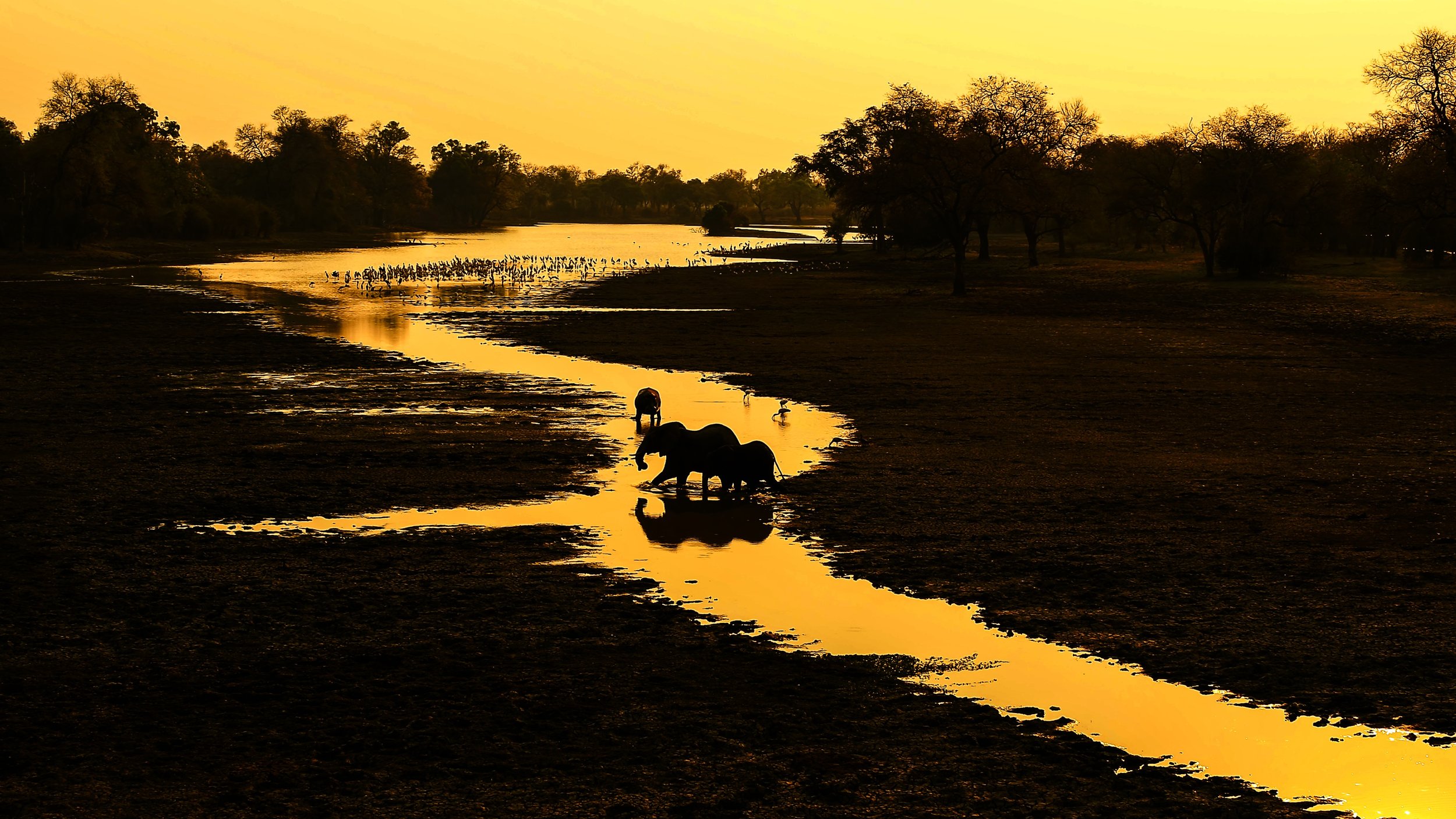 6 THE GOLDEN HOUR GIANTS.jpg