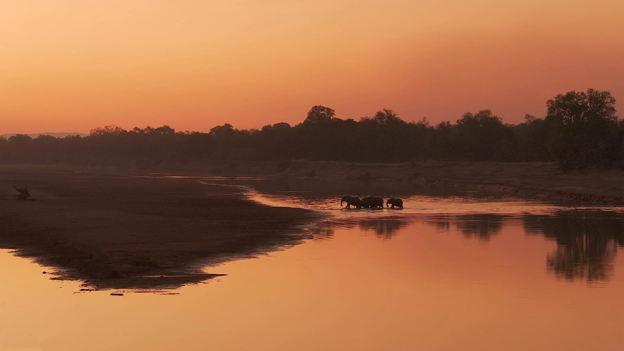 2 THE MIGHTY LUANGWA copy.jpg