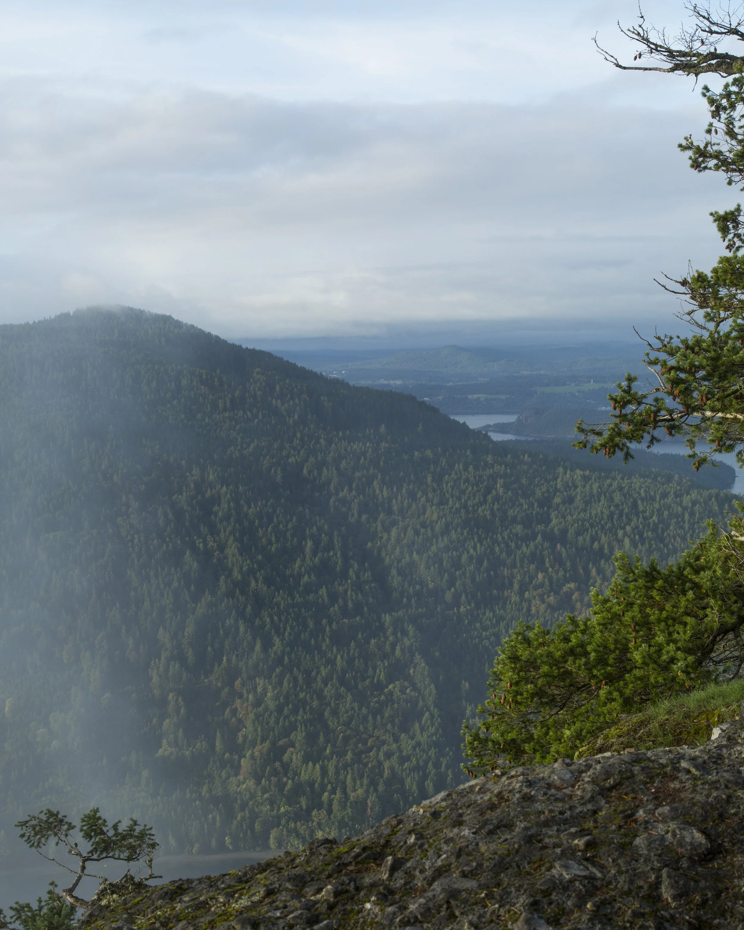 GOOD BUDS is located on scenic Salt Spring Island BC