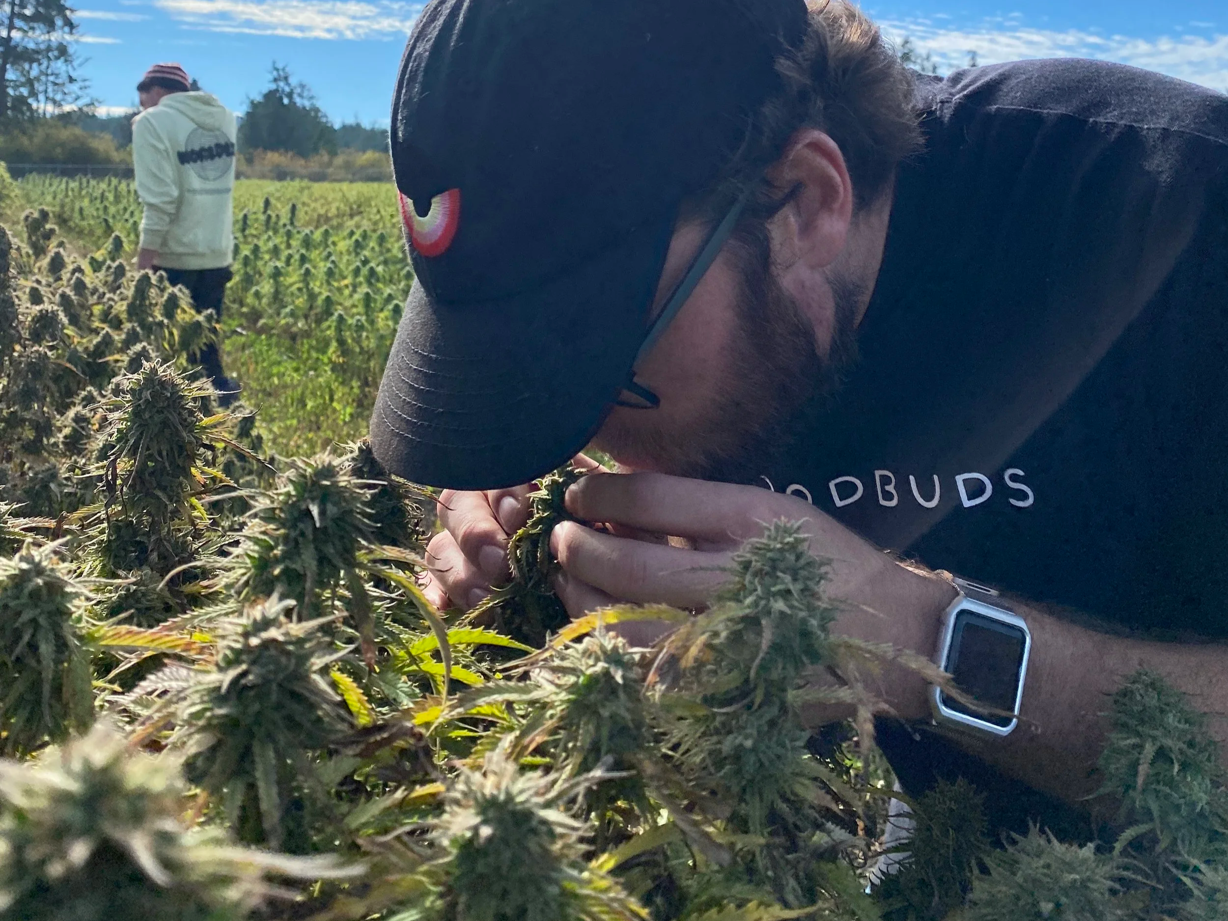 The cannabis sustainability conversation is stuck on packaging. The bigger problem is how the flower is grown.