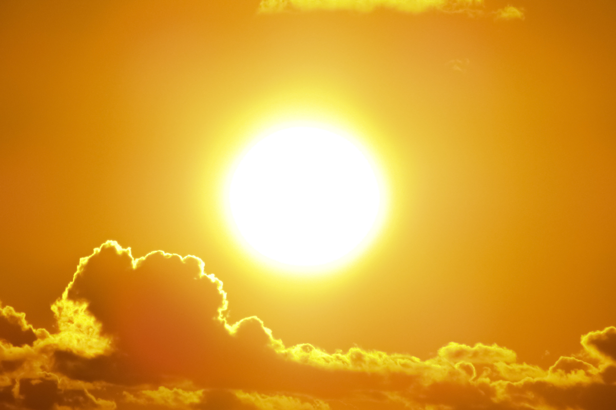 Indoor cannabis runs on lights and air conditioning. Ours runs on the sun.