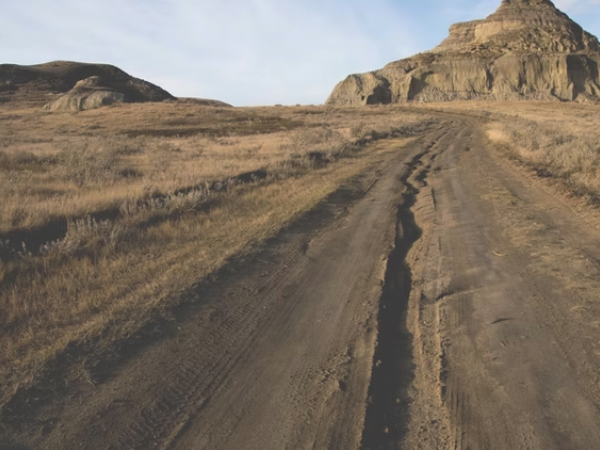 The mechanics of reaching out.