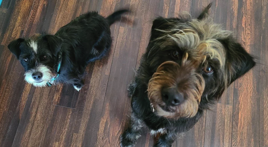 Stronger... Together