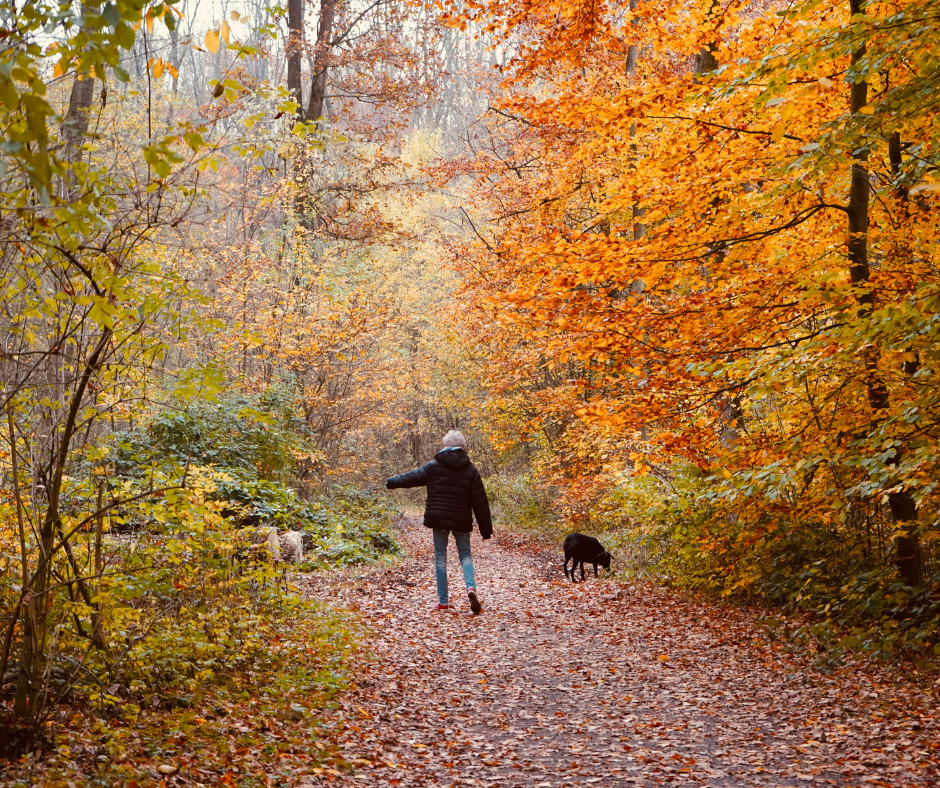 Rhythm of the Seasons