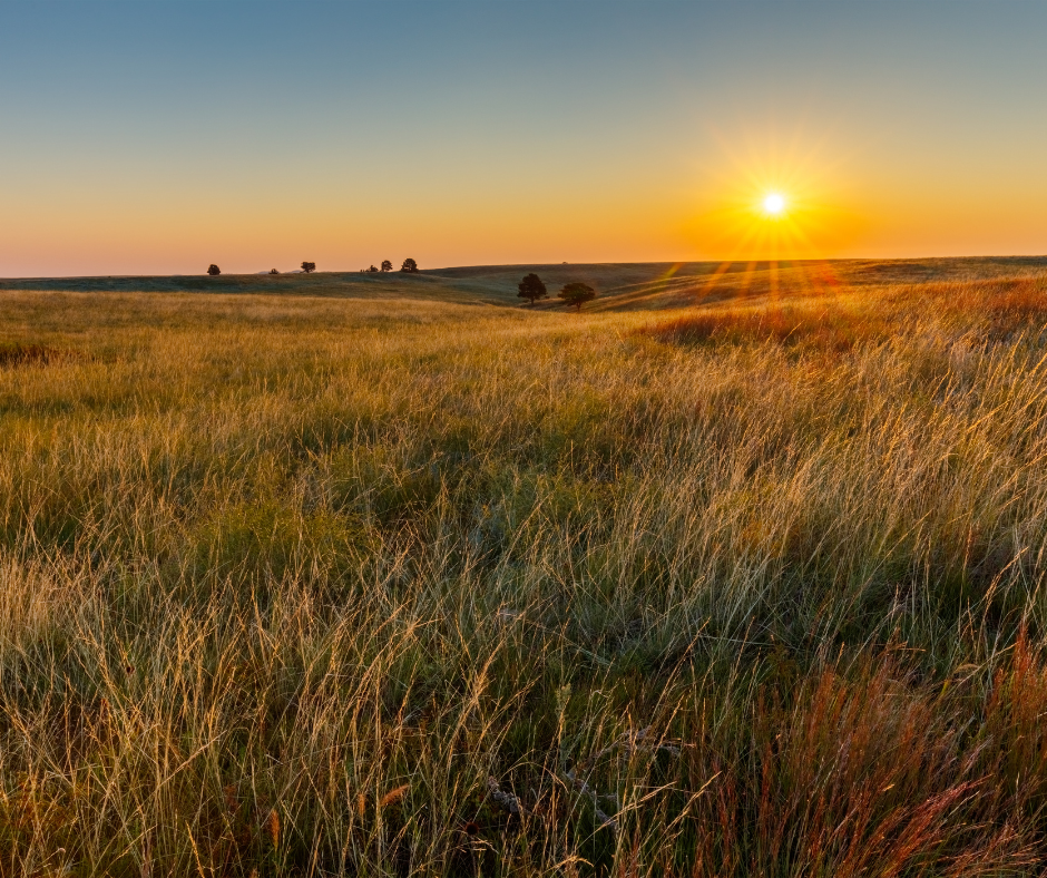 Preparing for Something New