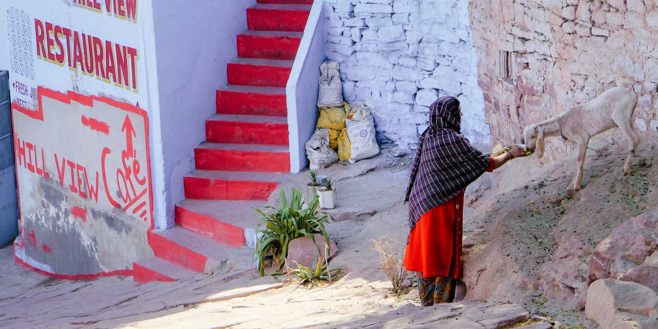 WTTE_slideshow_ desktop P1030341 (3).jpg