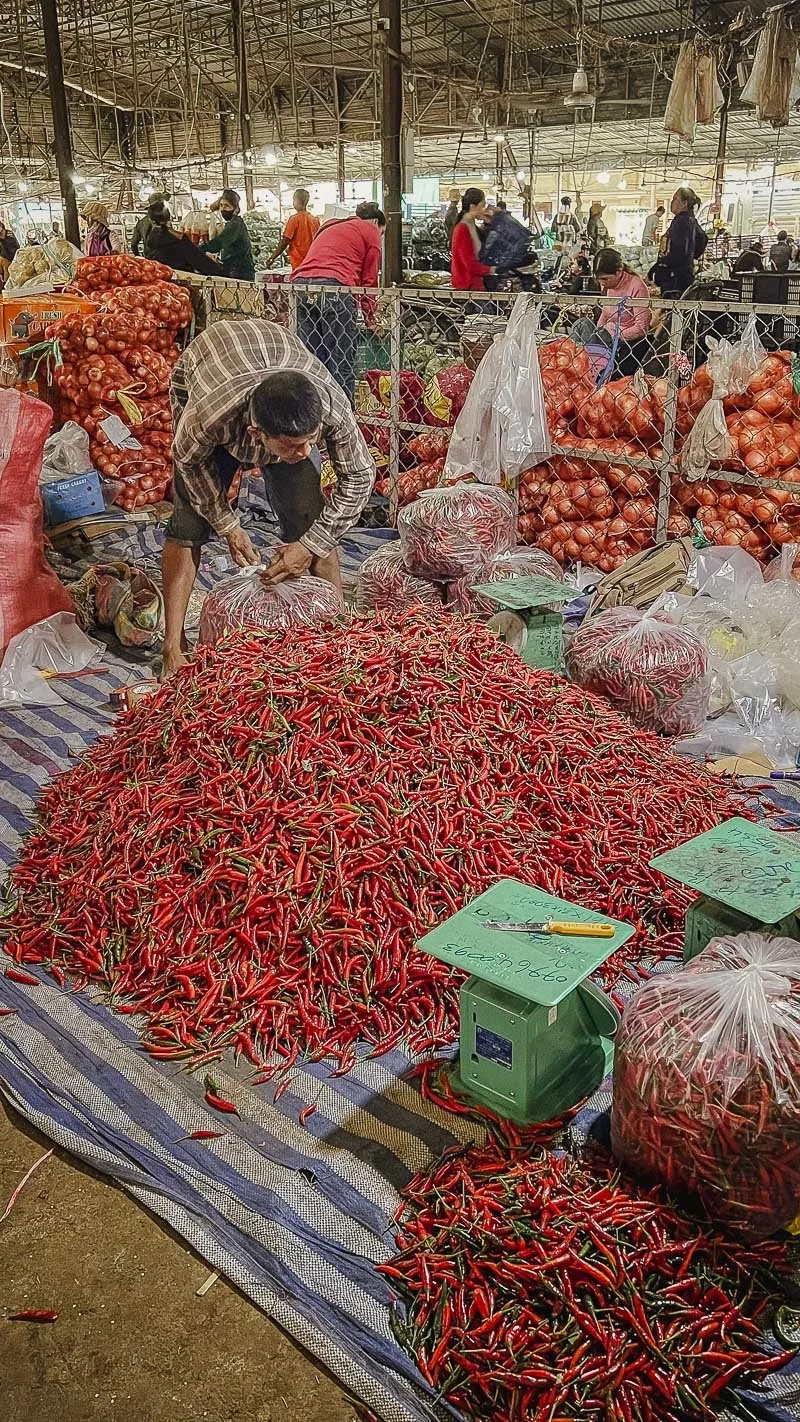 WTTE_slideshow_mobile 1 (8).jpg