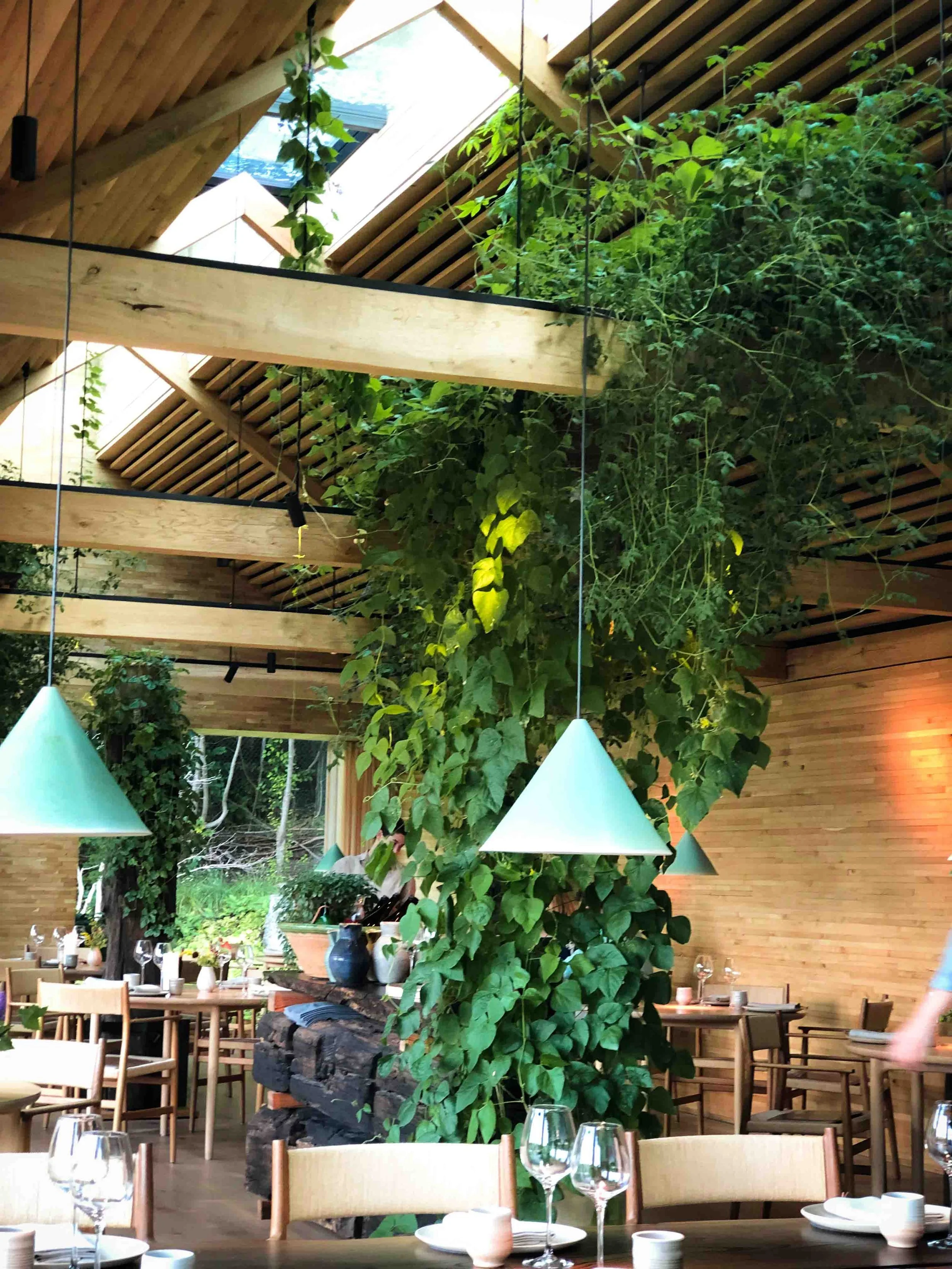 Foraging My Way Through Noma