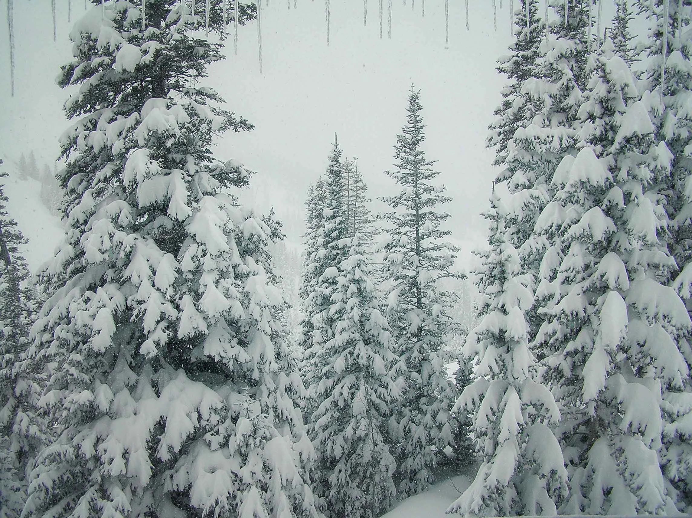 places_aspeninwinter.11.jpg