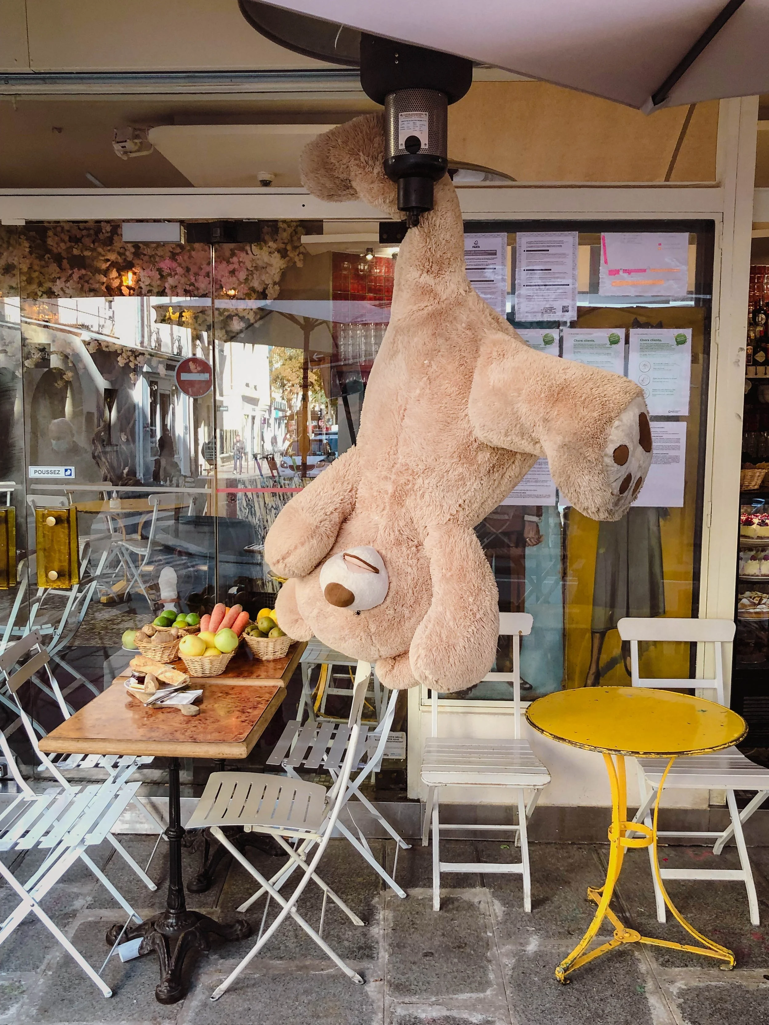 places_pix_parisbears.12_corrected reduced.jpg