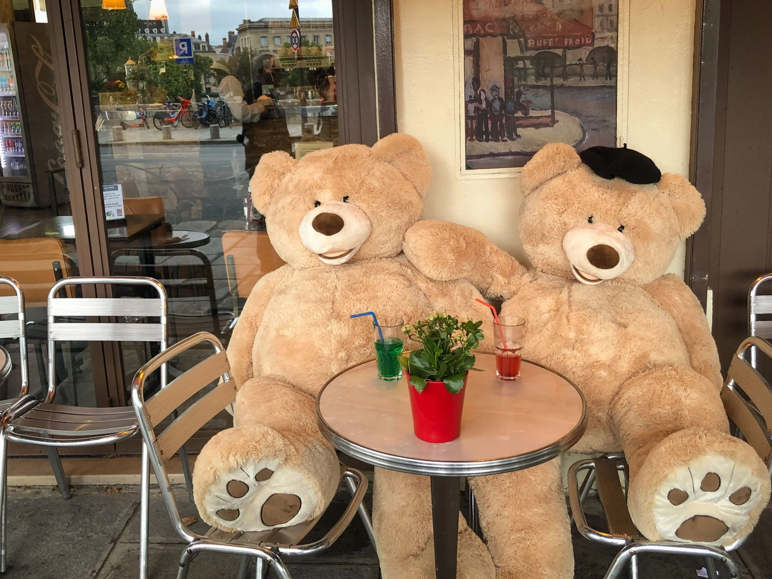 places_pix_parisbears.7_corrected reduced.jpg