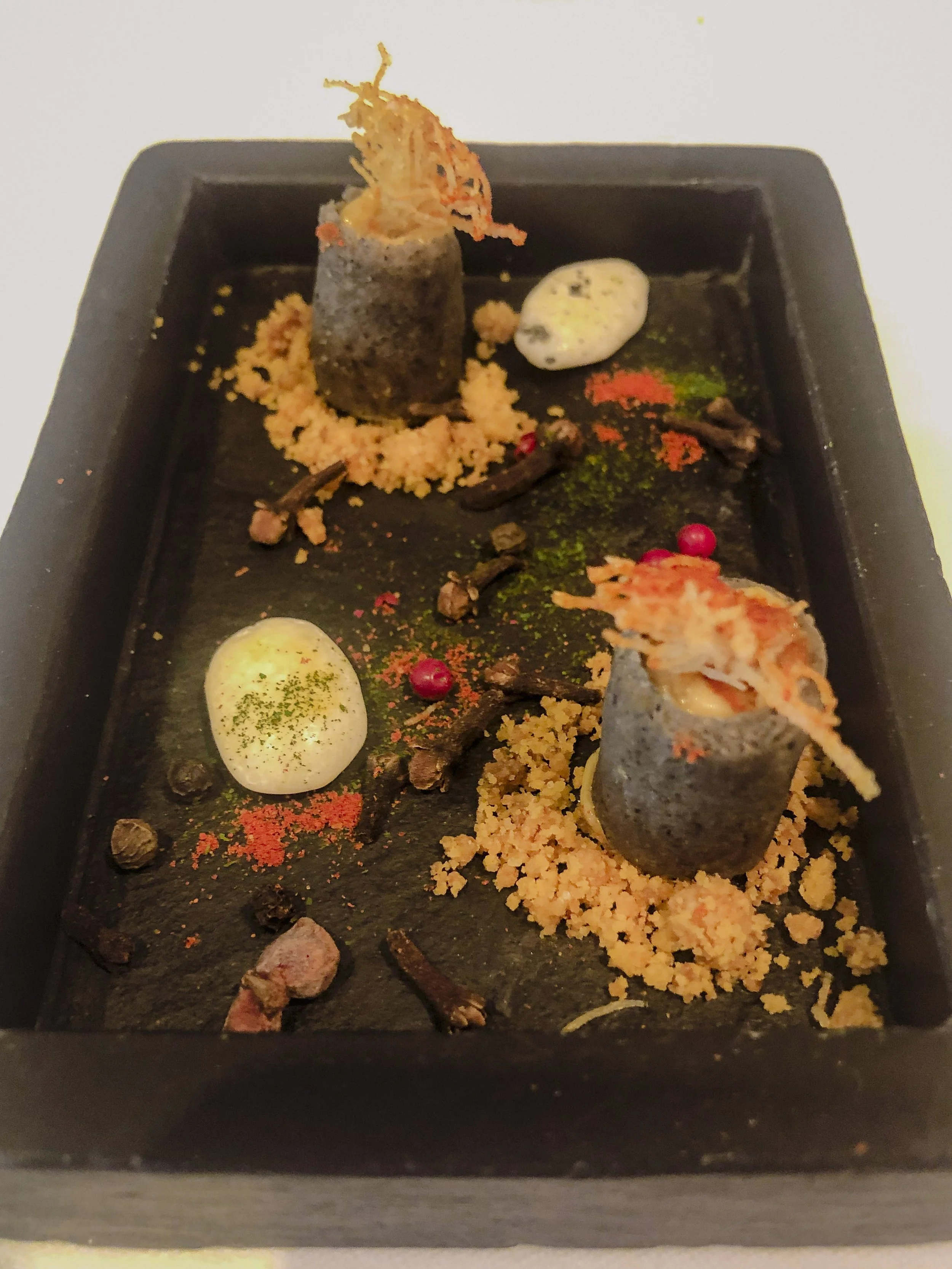 places_pix_arzak.4_corrected reduced.jpg