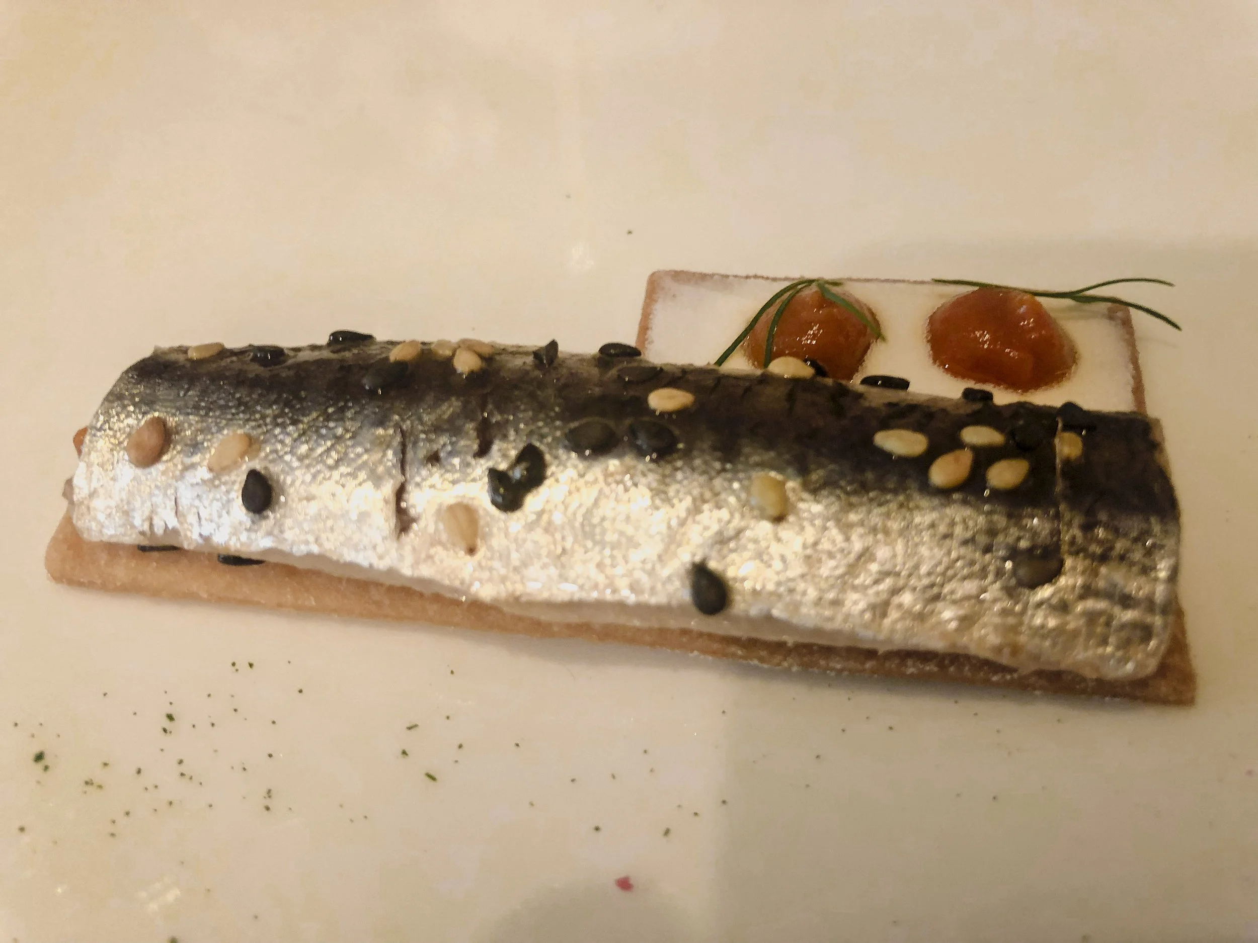 places_pix_arzak.3_corrected reduced.jpg