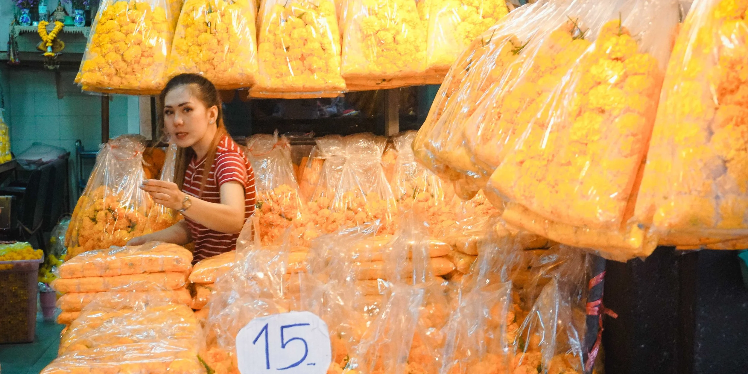 WTTE_slideshow_ desktop DSC04810.jpg