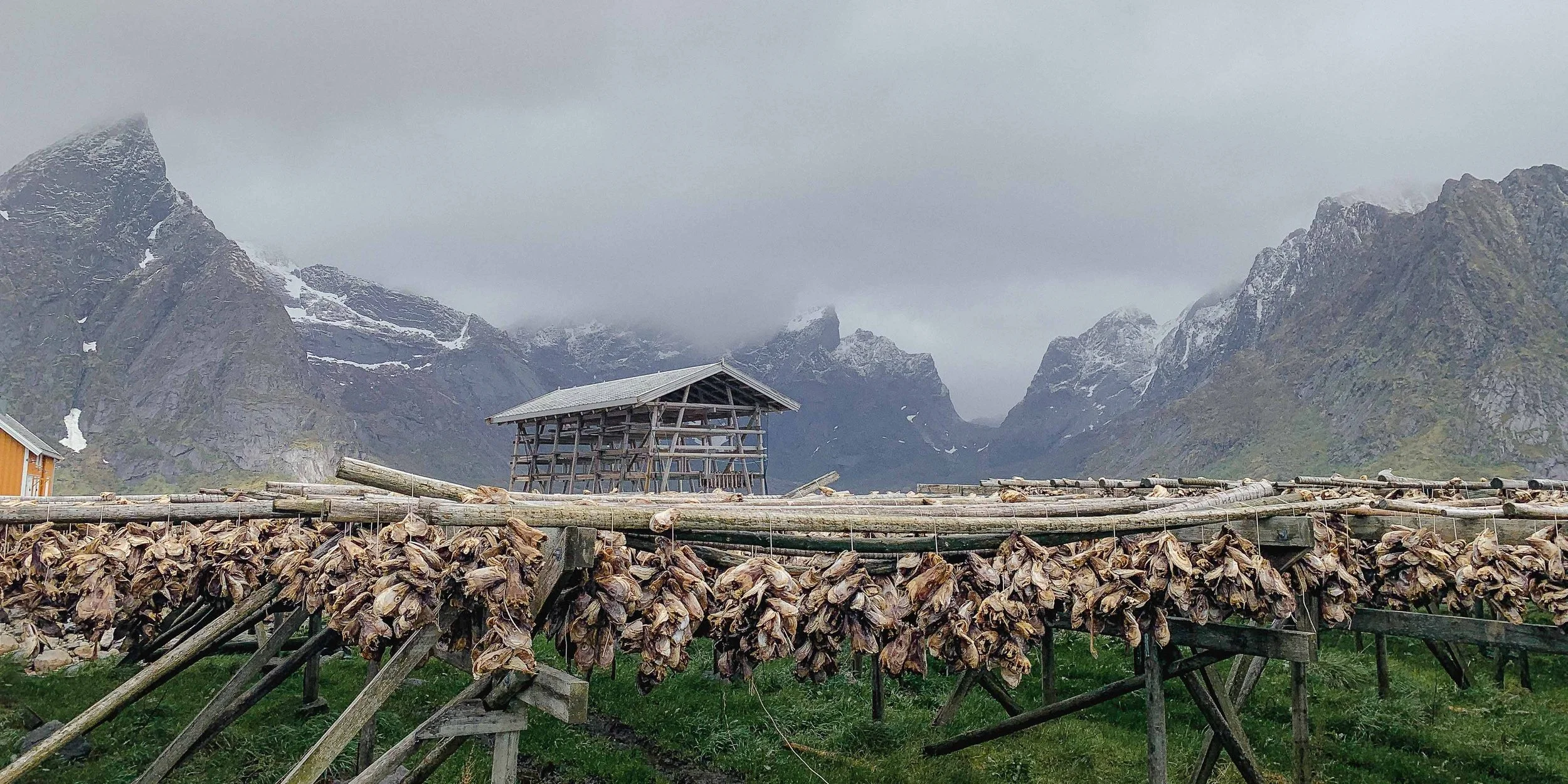 WTTE_slideshow_ desktop 1 (2).jpg