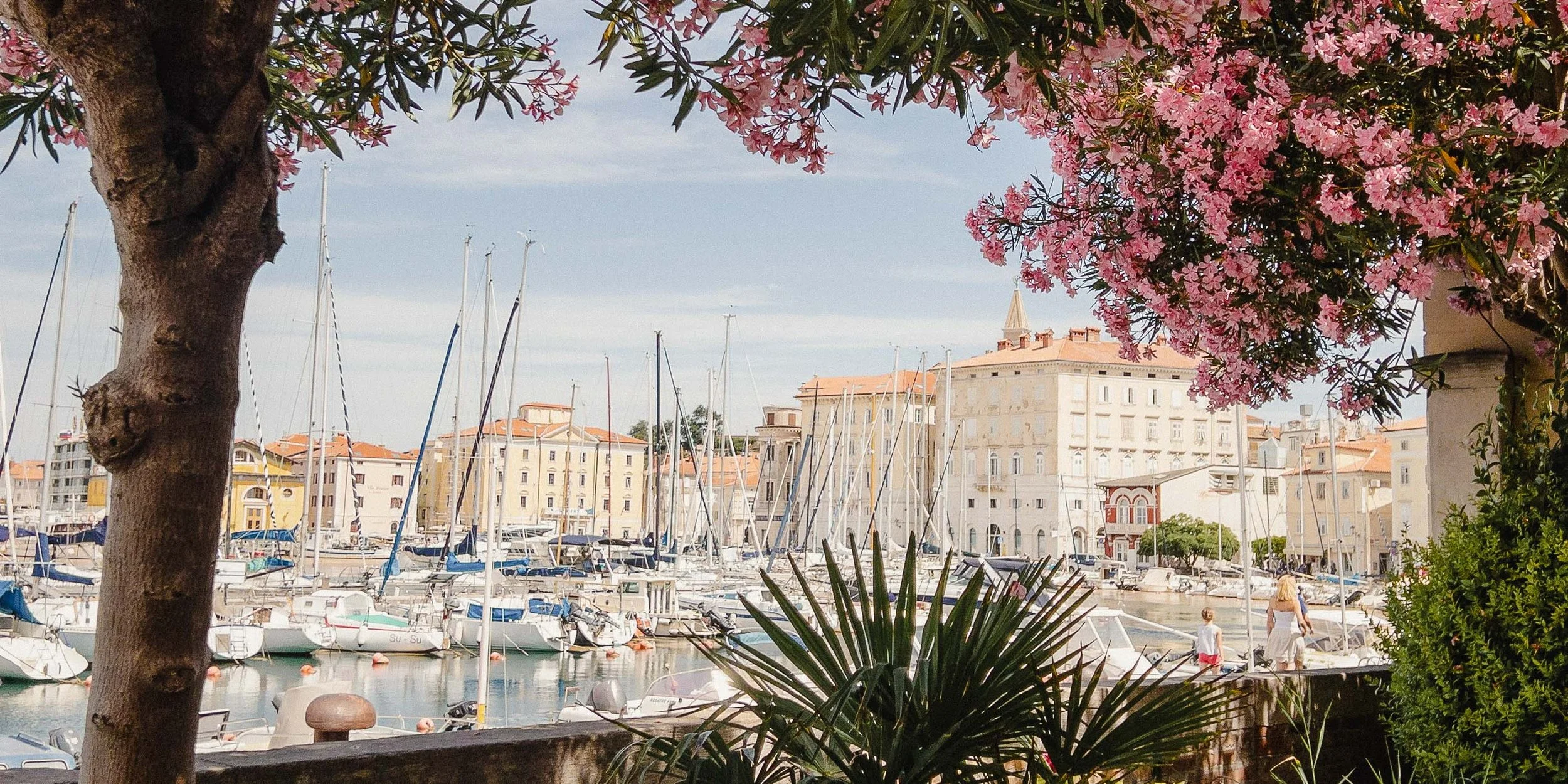 WTTE_slideshow_ desktop 1 (4).jpg