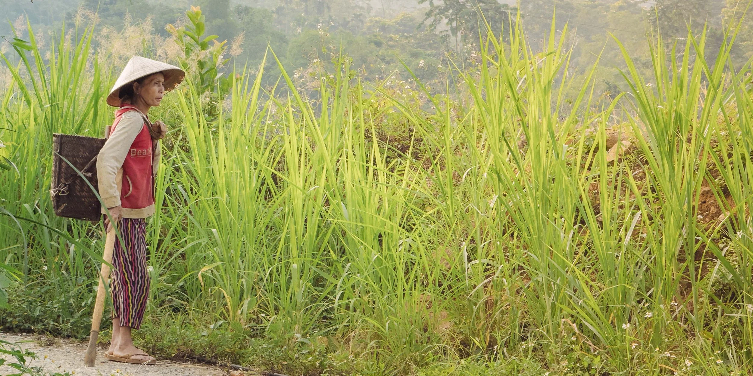 WTTE_slideshow_ desktop IMG_1283.jpg