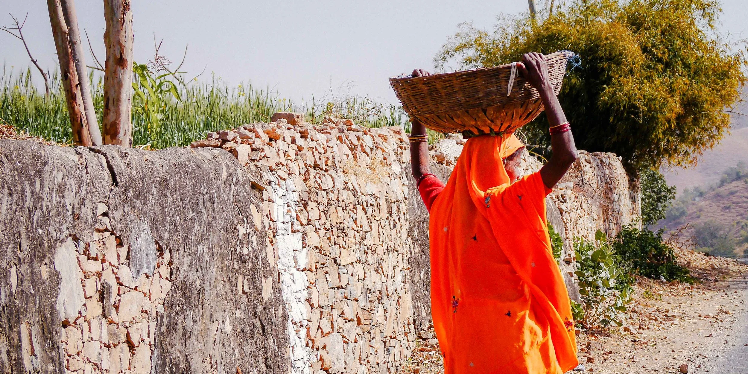 WTTE_slideshow_ desktop P1040319 (2).jpg