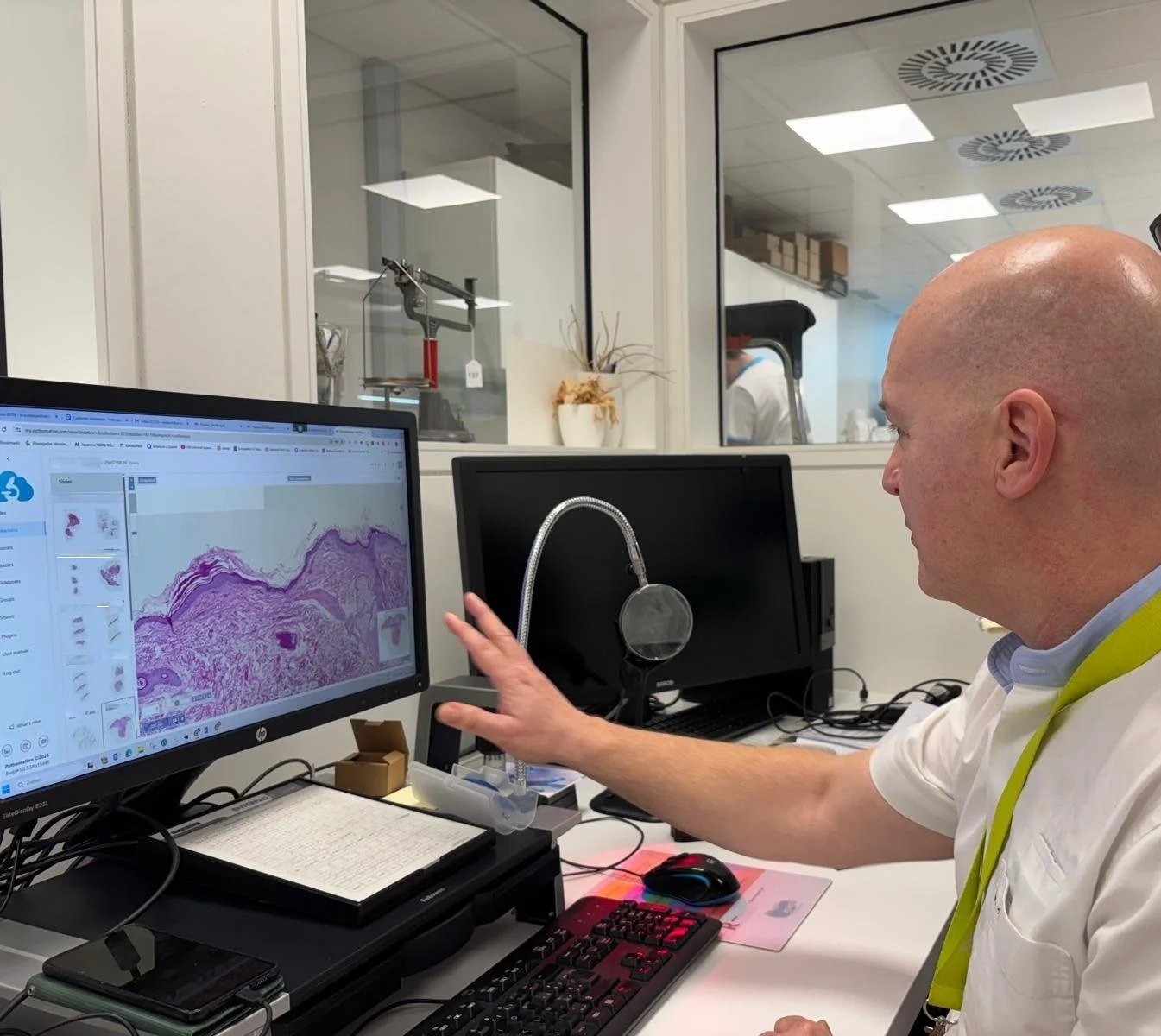 Pathologist looking at WSI with My Pathomation. the cloud platform for digital pathology and AI