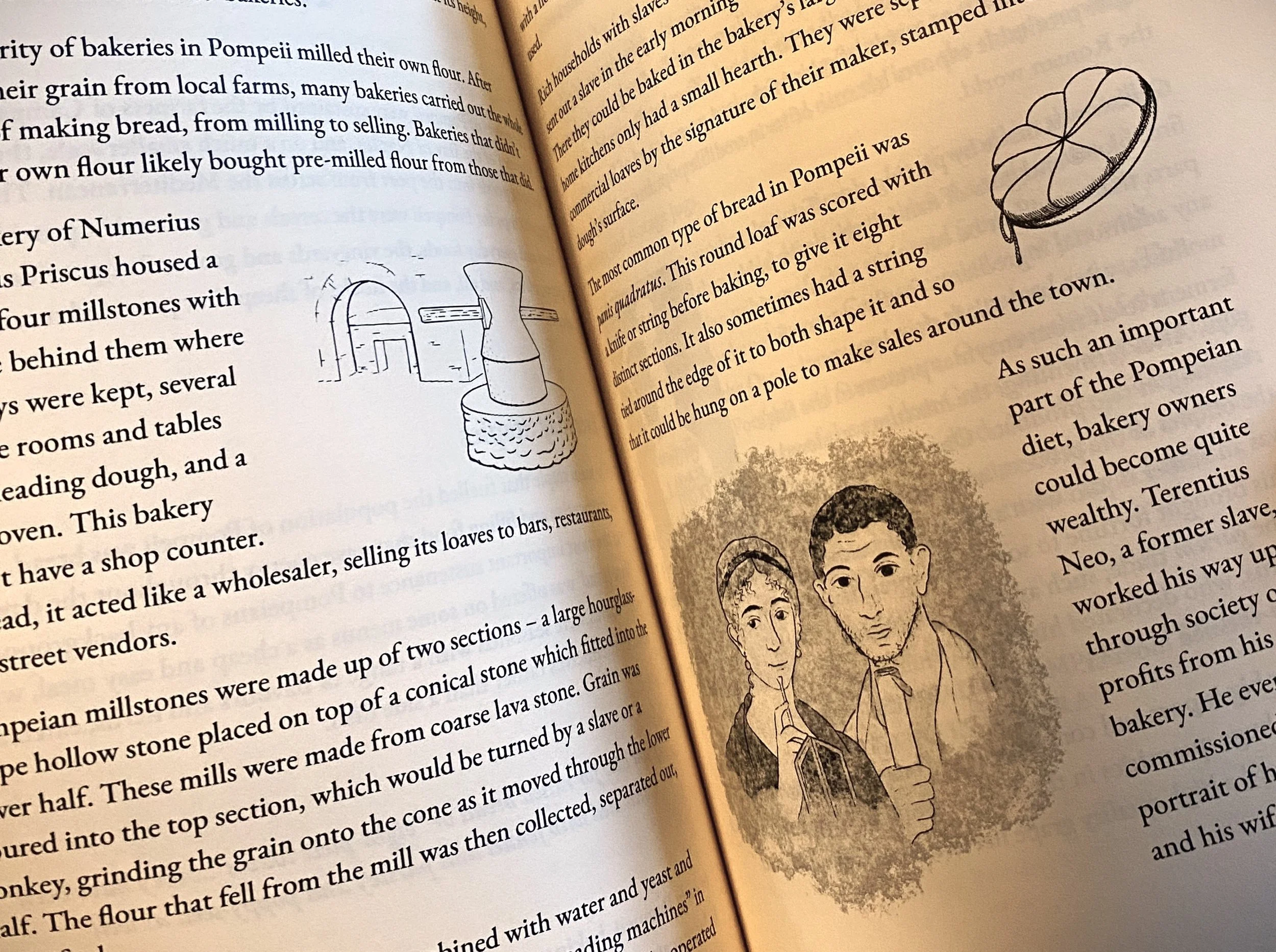 An open book with illustrations of a bakery, bread, and a wall painting from Pompeii interspersed amongst text giving information about bakeries in Pompeii